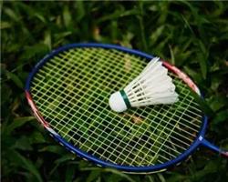 羽毛球興趣班