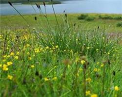 大自然生態之旅