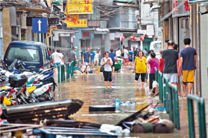 災後處理:垃圾及樹木對社區的影響及處理